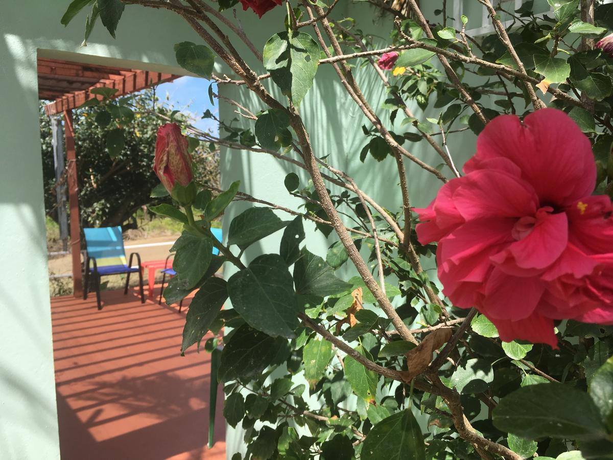 Tranquility By The Sea Villa Vieques Exterior photo